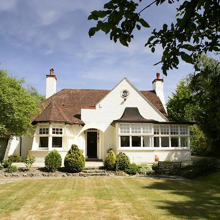 Daisybank Cottage Boutique Bed And Breakfast Brockenhurst Exteriér fotografie