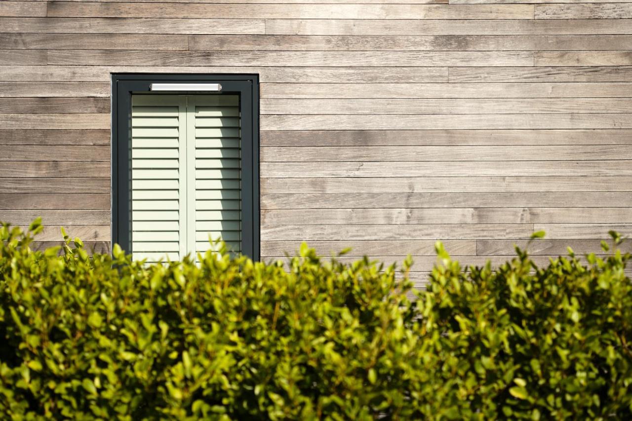 Daisybank Cottage Boutique Bed And Breakfast Brockenhurst Exteriér fotografie