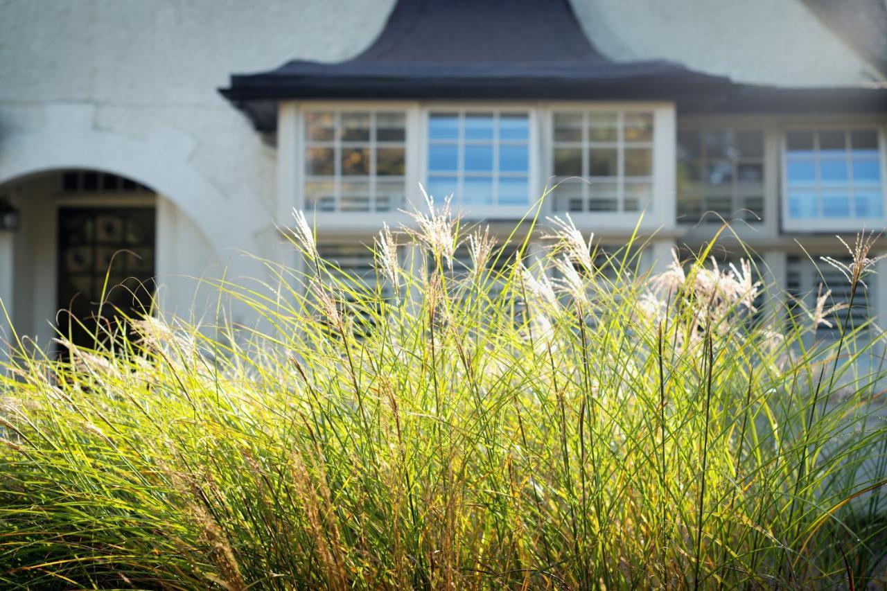Daisybank Cottage Boutique Bed And Breakfast Brockenhurst Exteriér fotografie