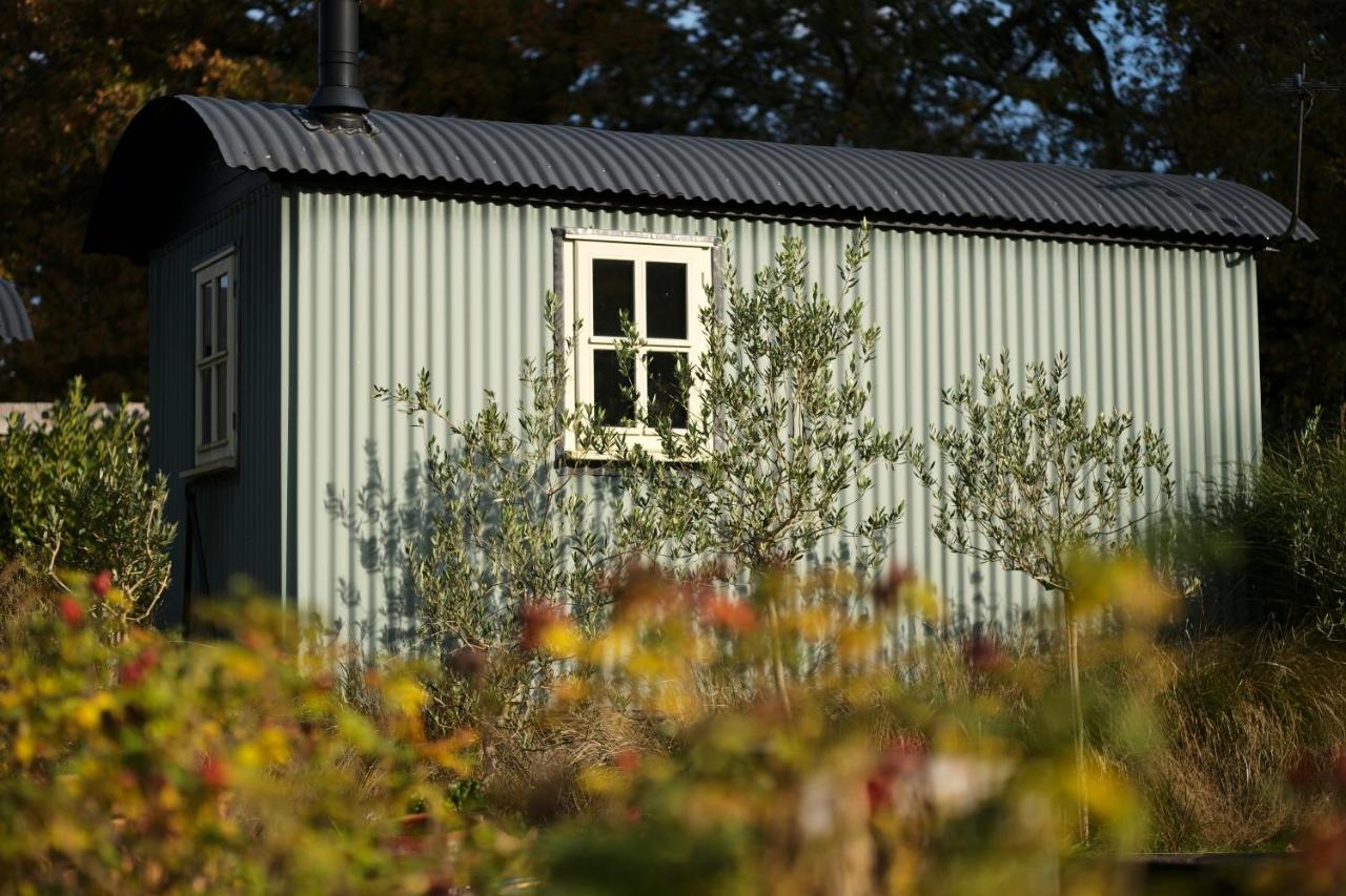 Daisybank Cottage Boutique Bed And Breakfast Brockenhurst Exteriér fotografie